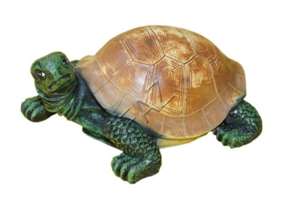 Disegno Tartaruga Figura Statua Scultura Figure Sculture Decorazione da Giardino
