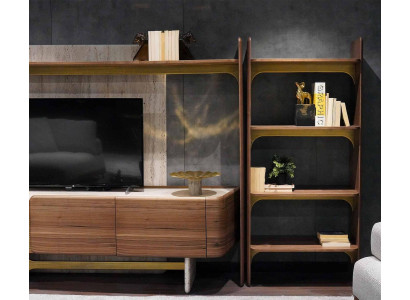 Design del soggiorno di lusso, set di mobili in legno marrone, scaffale librerie.