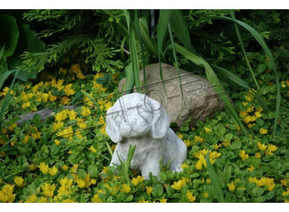 Giardino decorazione cane terrazza statua in pietra figure decorative bianco.