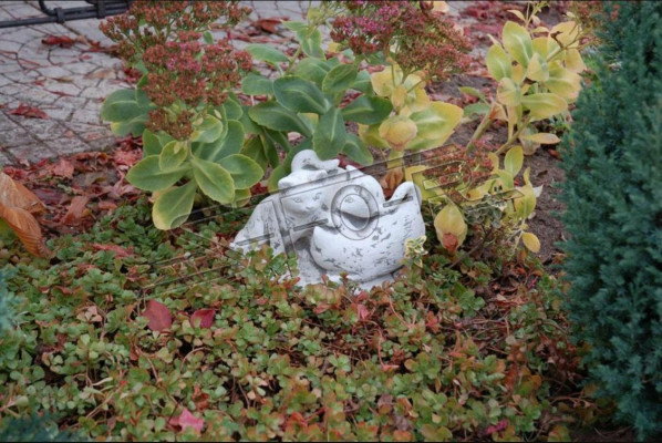 Giardino decorazione gatto terrazza statua di pietra figure decorative statua