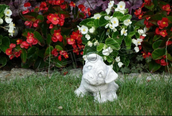 Decorazione giardino Cane bianco Terrazza Pietra Figure Decorative Statua Figura
