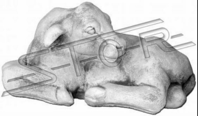 Giardino, decorazione mucca in pietra per terrazza, bianca, statua naturale, scultura.