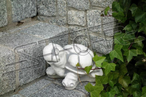 Giardino Tartaruga Decorazione Statua Terrazza S103095