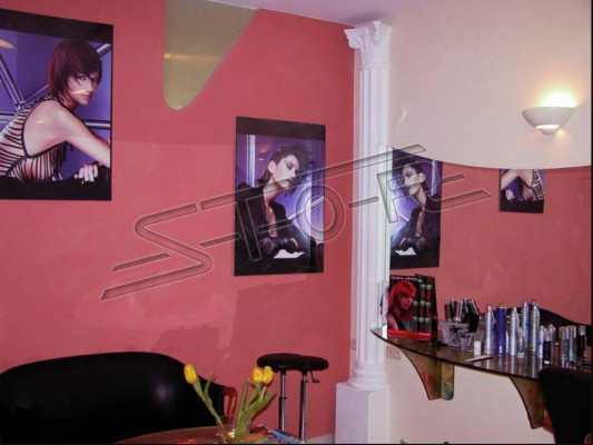 Colonna Colonne Stile Antico Colonne Giardino Decorazione Romana Bianco Decorativo