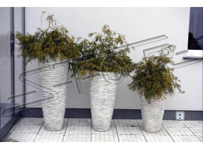 Vaso Statua Scultura Figure Statue Sculture Giardino Vasi