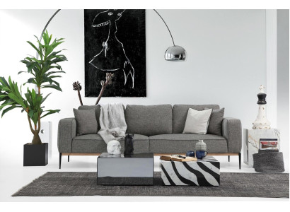 Set divano moderno in tessuto grigio per il soggiorno, composto da divano a 2 posti 221.