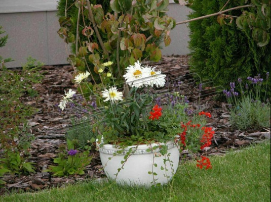 cestino di fiori vaso di fiori contenitore giardino terrazza decorazione statua figure