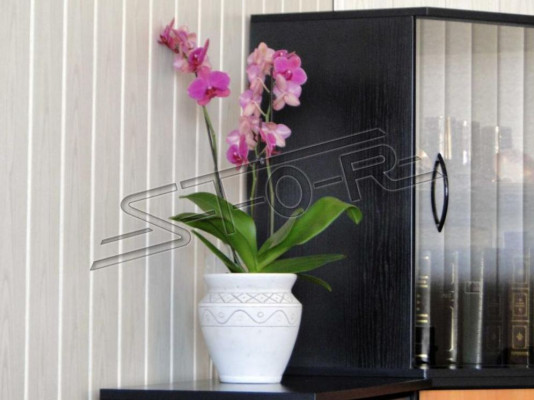 Cestino di fiori, figure, fiori, vaso, statua, recipiente, giardino, terrazza, decorazione.