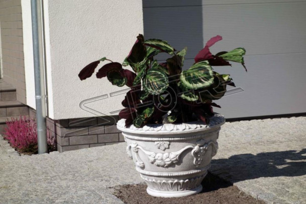 Vaso per piante, decorazione naturale in vaso per piante, vasi, decorazione, figure, giardino, vasi per fiori.