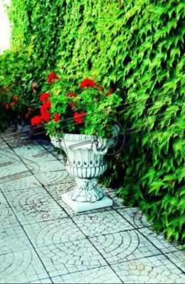 Vaso per piante decorazione figura vasi da fiori giardino natura
