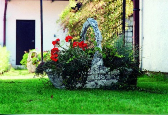 Vaso per piante, contenitore per piante, decorazione, figura, natura, vasi per piante, vasi, giardino