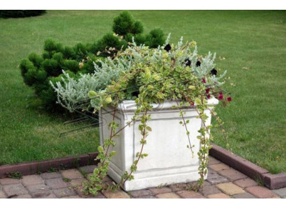 Vaso da fiori, vaso da pianta, decorazione, figura, vasi, giardino, natura, vasi per fiori.