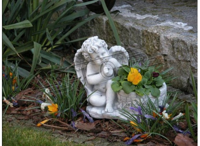 Vaso per piante con fiori decorazione giardino vasi da fiore vasi natura figura