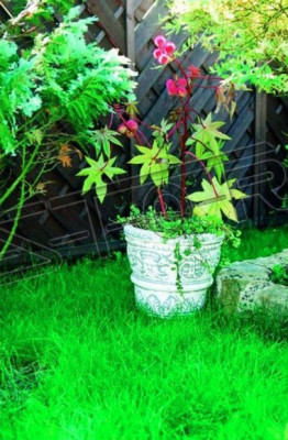 Vaso da fiore, vaso da pianta, decorazione, natura, figura, vasi per fiori, giardino