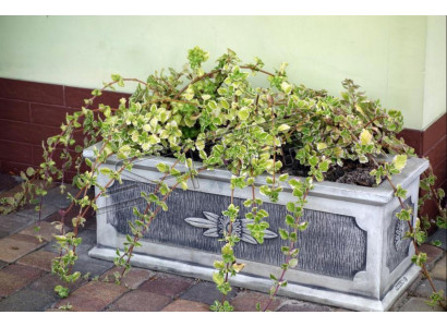 Vaso per piante, vaso da piantare, decorazione, figura naturale, vasi da giardino, vasi per fiori.