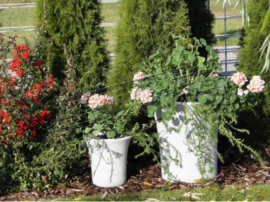 Vaso per piante da giardino contenitori decorativi, vasi da giardino, figure, vasi per fiori, natura