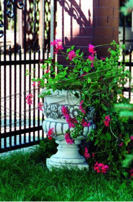 Vaso da fiori vaso da pianta decorazione naturale figura vasi vasi da fiori giardino
