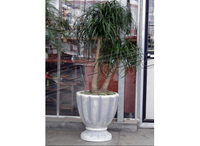 Vasi per fiori, scatola, vaso, fiori, vasi decorativi XXL in cemento per giardino e terrazza.