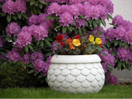 Vasi da fiori Scatola Vaso Fiori Vasi XXL Giardino decorativo Cemento Terrazza