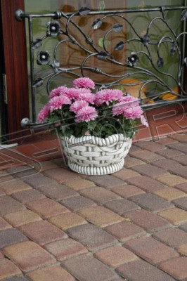 Vasi da fiori Scatola Vaso Fiori Vasi XXL Giardino Cemento Decorativo Terrazza