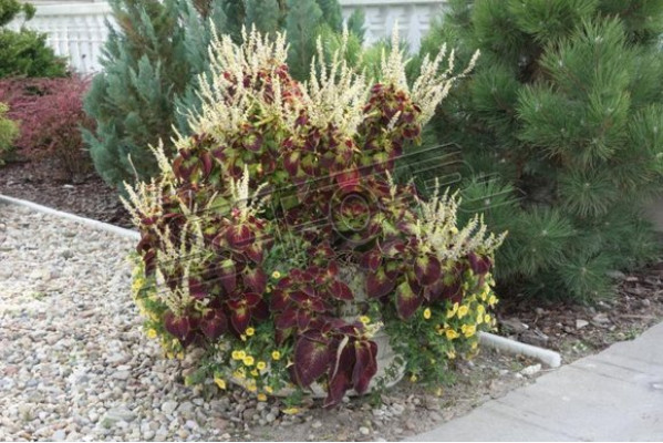 Vasi per fiori scatola vaso fiori vasi XXL Giardino Decorativo Cemento Terrazza