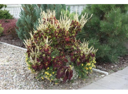 Vasi per fiori scatola vaso fiori vasi XXL Giardino Decorativo Cemento Terrazza