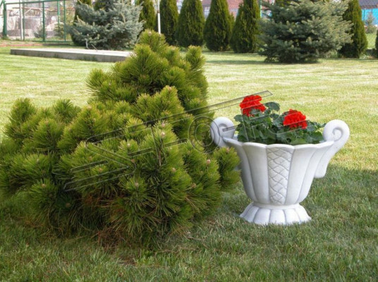 Design Vaso da fiori Top Planz Deco Secchio Contenitore Figura Vasi Viso Scultura