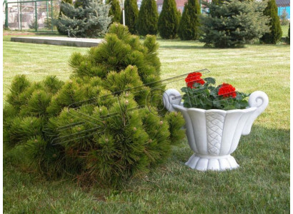 Design Vaso da fiori Top Planz Deco Secchio Contenitore Figura Vasi Viso Scultura