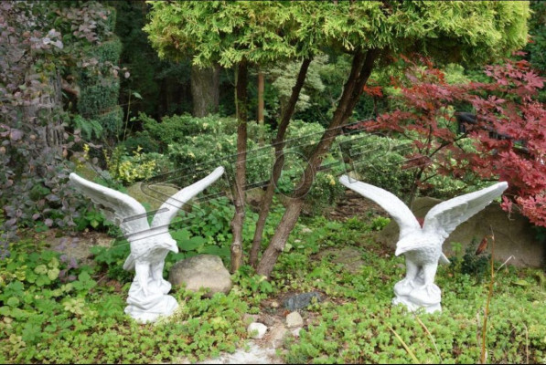 Figura Aquila Giardino Statua Scultura Sculture Figure Statue Decorative
