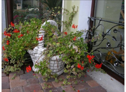 Figura Vaso da fiori Vaso da pianta Decorazione Bianco Figura Vasi da fiori Giardino