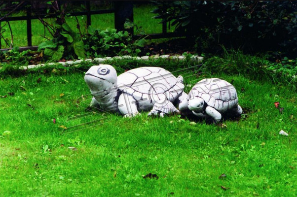Decorazione da giardino Tartaruga Statua Scultura Figure Sculture Design Figura
