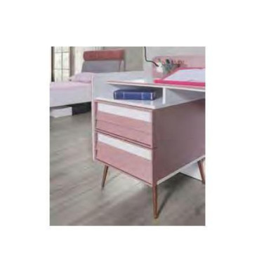 Scrivania Scrivania per computer Mobili Ragazza Tavoli Tavolo Legno Mobili da camera da letto
