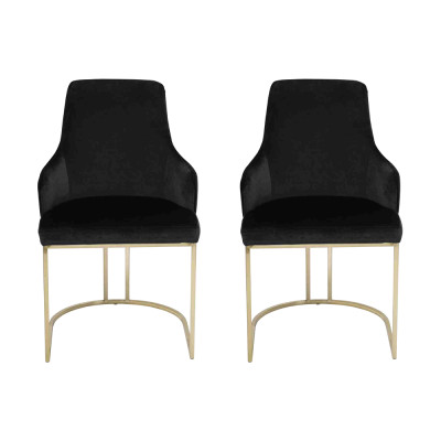 Sedie in acciaio inossidabile nero 2x sedie da pranzo Sedie di lusso 2 pezzi.