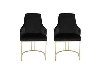 Sedie in acciaio inossidabile nero 2x sedie da pranzo Sedie di lusso 2 pezzi.