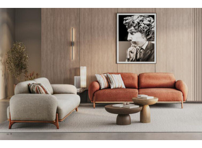 Divano in tessuto marrone e bianco elegante con 2 cuscini e divano a 3 posti per il soggiorno.