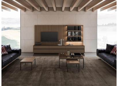 Mobili in legno Soggiorno Soggiorno di lusso Parete abitativa moderna Design Nuovo
