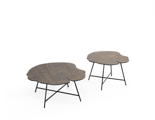 Tavolino da caffè, tavolino, tavolo da designer, tavolino da soggiorno.
