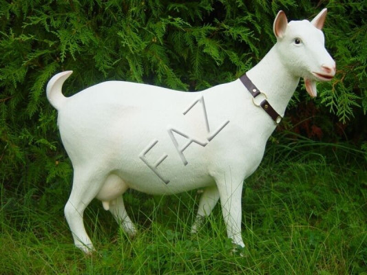 Design Capra in piedi, testa a destra Figura Statua Scultura Figure Sculture Nuovo