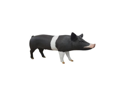 Mast Schwein Bauernhof Dekoration Garten Statue Tier Wurst Statuen 160cm Figuren  Albero maiale fattoria decorazione giardino statua animale salsiccia statue 160cm figure