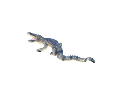 Moderna scultura decorativa di un coccodrillo del Nilo a grandezza naturale 180 cm decorazione da giardino nuova.