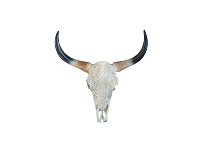 Teschio di toro decorativo non vero 65cm design da parete teschio di bufalo d'acqua