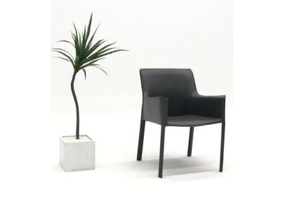 Design sedie imbottite per sala da pranzo, club, cucina, lounge e mobili per la casa. Sedia poltrona.