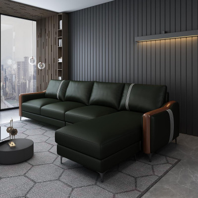 Sofà in pelle, divano, zona giorno, set, design, moderno, divani, divano angolare a L