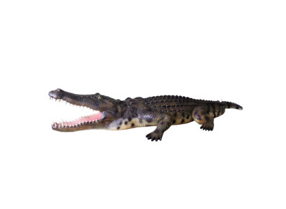 Statua decorativa a grandezza naturale da giardino di un coccodrillo, sculture di 320cm.