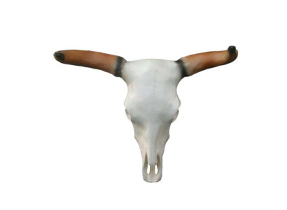 Teschi di toro testa di toro sculture murali altezza 64 cm figura decorativa da parete decorazione murale