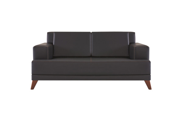 Divano in pelle a 2 posti nero monocolore con design moderno e struttura in legno.