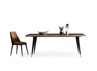 Tavolo da pranzo Tavolo Tavolo in vetro Tavolo da pranzo 210x100 Tavoli da pranzo 210x100cm