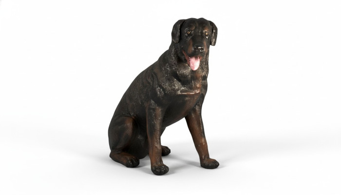 Design Cane Rottweiler Statua Scultura Figure Sculture Decorazione 3007
