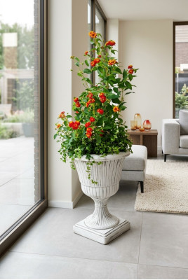 Vaso da fiori, contenitore per piante, decorazione, figura, vasi da giardino, vasi.