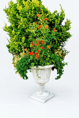 Vaso da fiori, contenitore per piante, decorazione, figura, vasi da giardino, vasi.